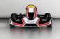 Preview: Charles Leclerc CL30-S18SH Schaltkart mit Verkleidung  KG509+FL AERO+KG C3 50X2X1040--F MAG. DF+DF 007/CH/10