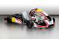 Preview: Charles Leclerc CL30-S18SH Schaltkart mit Verkleidung  KG509+FL AERO+KG C3 50X2X1040--F MAG. DF+DF 007/CH/10