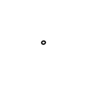 O-Ring SICHERUNGSSCHRAUBE (Nr. 100)    Bild Nr.5